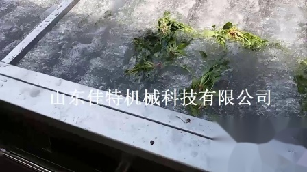 新款大蔥清洗機(jī) 全自動(dòng)洗蔥機(jī)