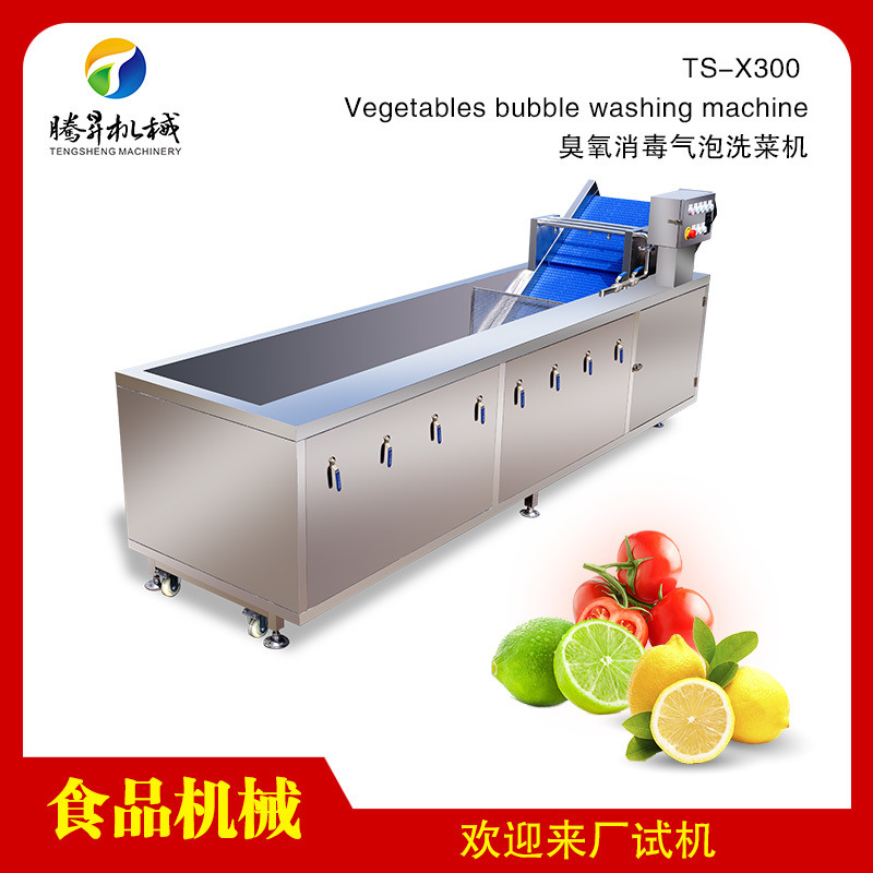 凈菜配送中心清洗設(shè)備 氣泡洗菜機廠家