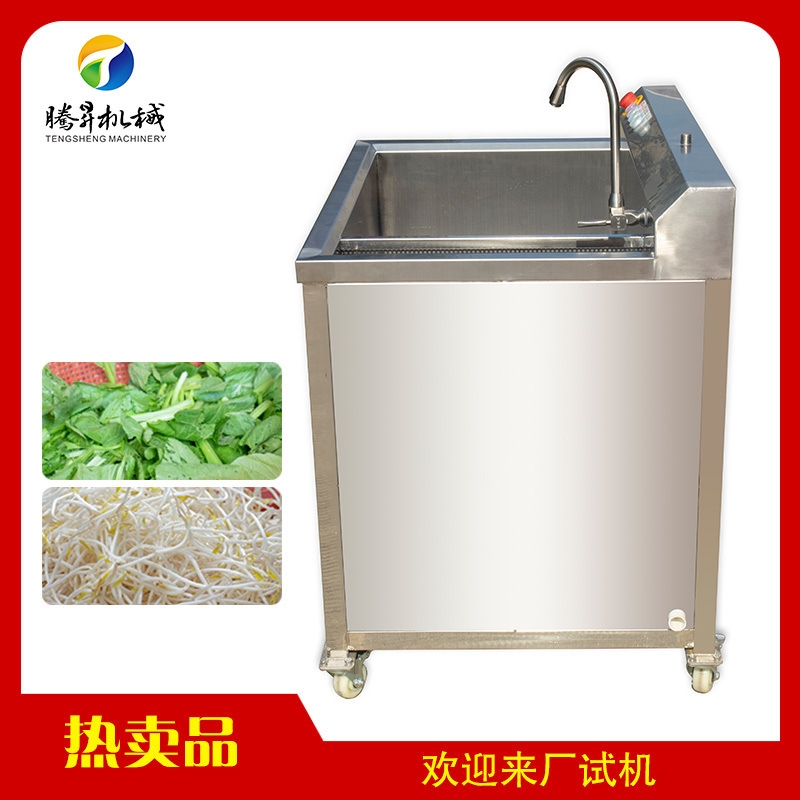 鼓泡翻滾式蔬菜 洗果 氣泡式苦瓜清洗機(jī)