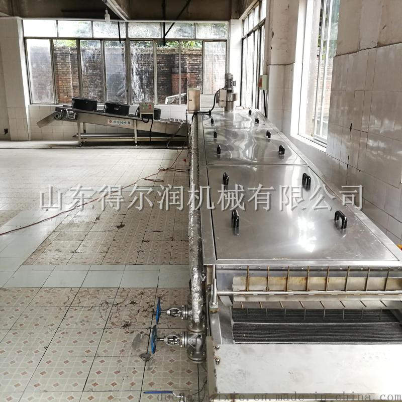 重慶DR1自動(dòng)花椒蒸煮生產(chǎn)線 花椒殺青清洗設(shè)備簡介