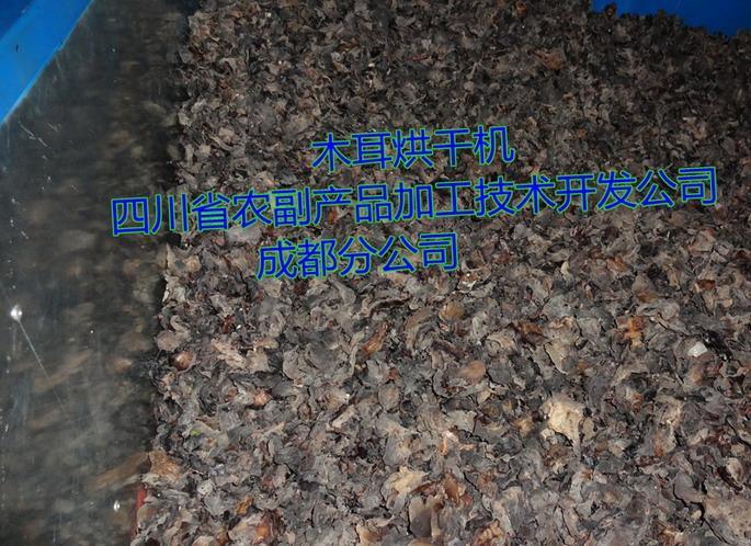 木耳烘干機(jī)，黑木耳烘干機(jī)，木耳快速烘干機(jī)