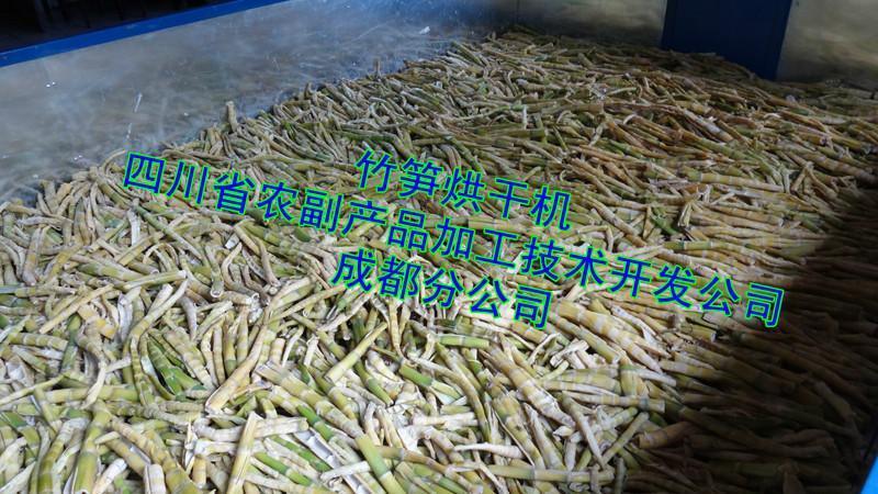 雷竹筍干烘干機，竹筍快速干燥機