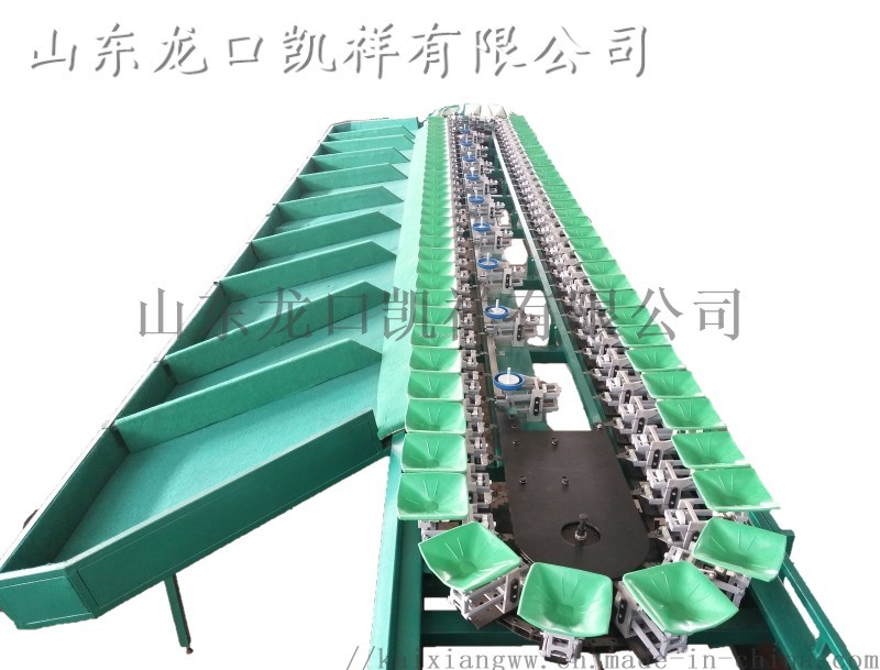 效率高油桃分選機(jī)，多功能分油桃重量分級(jí)機(jī)
