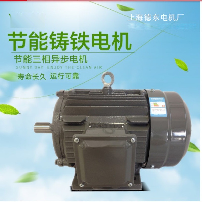 上海德東YE2高效節(jié)能三相異步電機