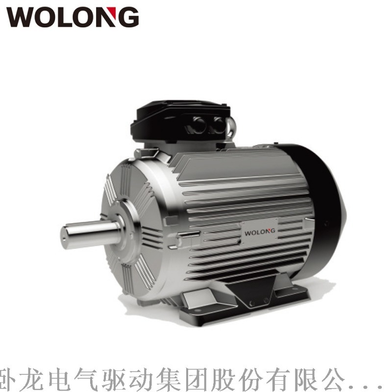 臥龍WE4系列YE4一級(jí)能效超  效電機(jī)適用水泵、風(fēng)機(jī)、機(jī)床