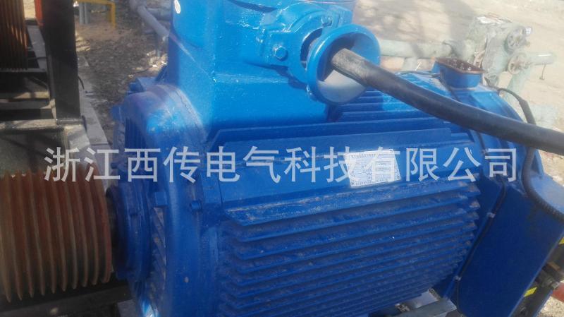天平式游梁抽油機用電機及控制系統(tǒng)
