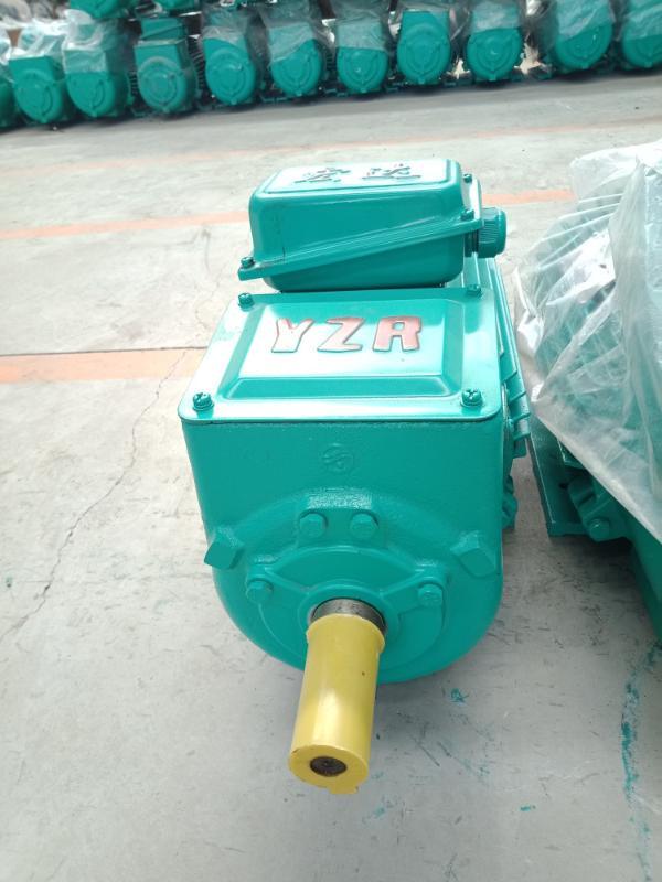 YZR電動(dòng)機(jī) 單出軸銅芯電動(dòng)機(jī) 電動(dòng)機(jī)保護(hù)器