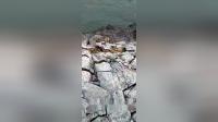 無聲破碎劑 福建力強(qiáng)牌高效無聲膨脹劑