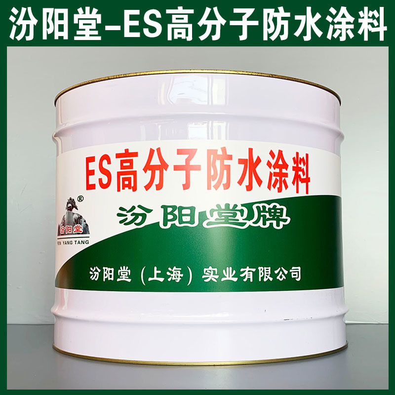 ES高分子防水涂料、生產(chǎn)銷售、ES高分子防水涂料