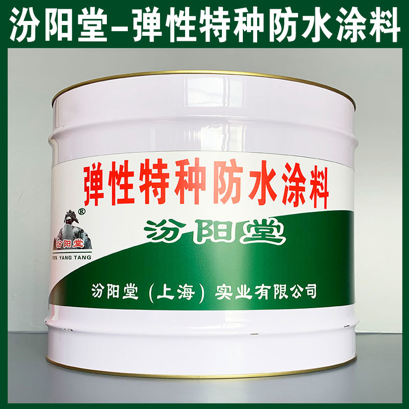 彈性特種防水涂料、涂膜堅韌、彈性特種防水涂料