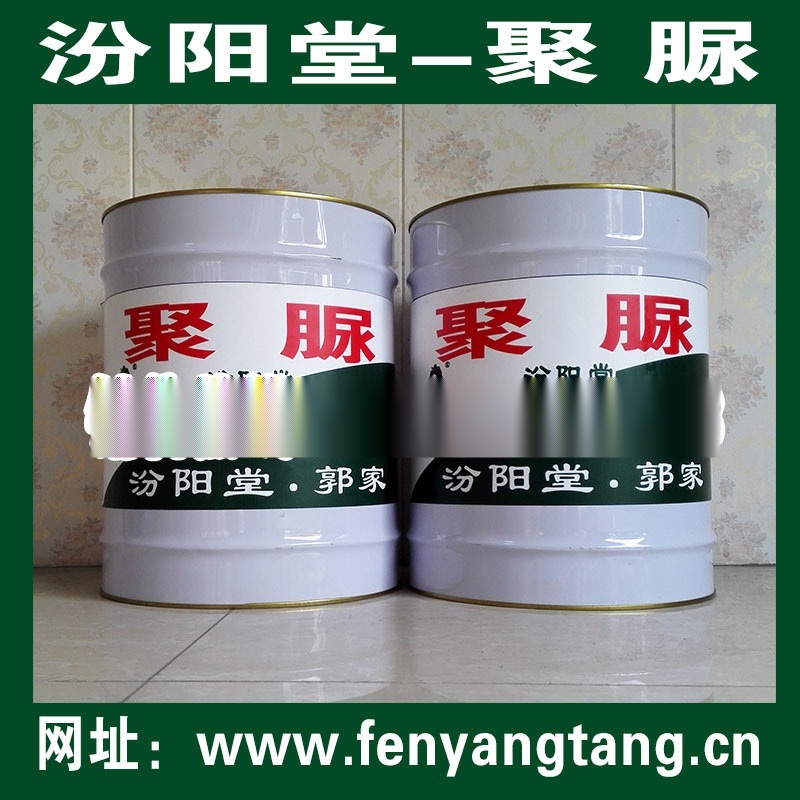 暴露型聚脲密封，暴露型厚質(zhì)聚脲涂層