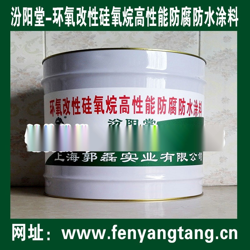 環(huán)氧改性硅氧烷高性能防腐防水涂料-汾陽堂