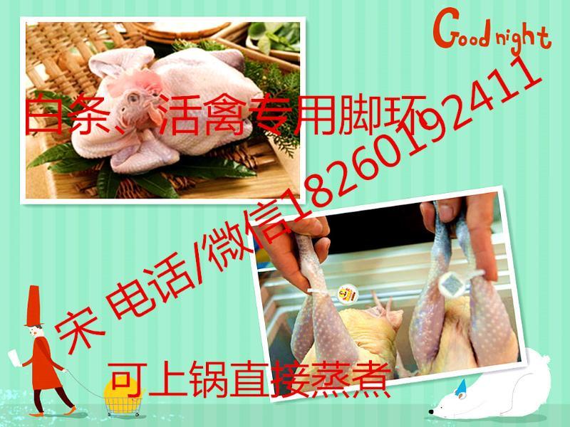 食品安全可溯源系統(tǒng)方案 雞鴨鵝佩戴腳環(huán)追溯