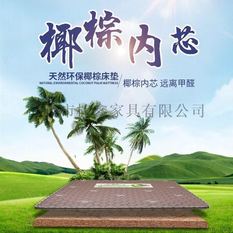 廠家直銷 批發(fā) 定制 椰棕床墊 環(huán)保棕 彈簧加棕
