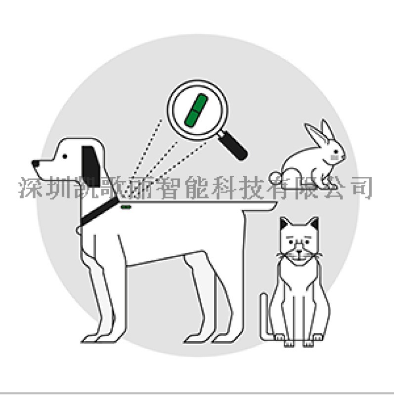 全國城市動物管理 頸部注射玻璃管標(biāo)簽 身份信息記錄