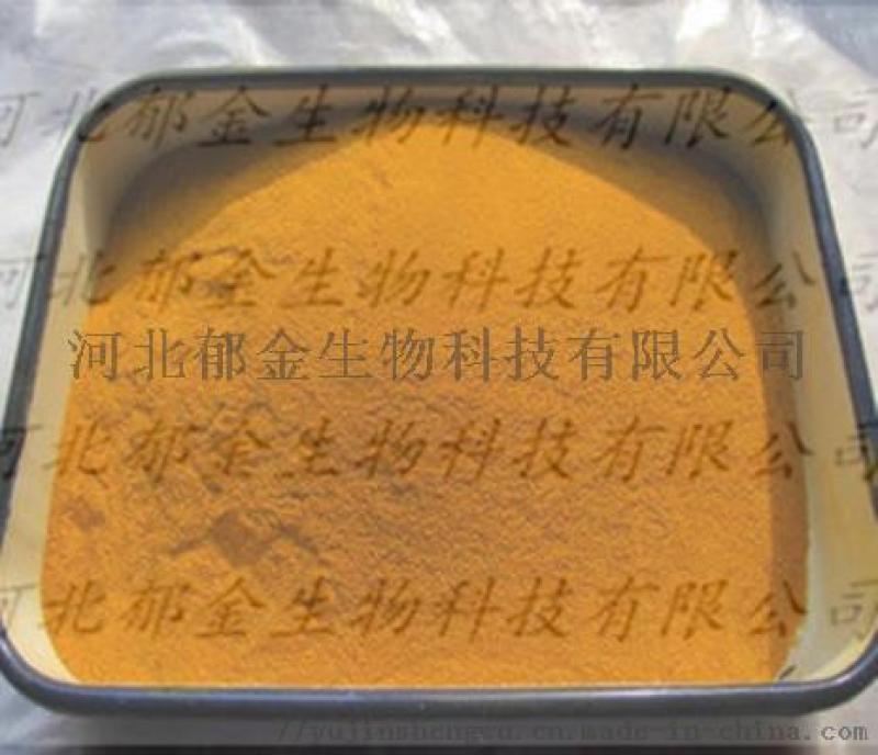 姜黃粉 姜黃色素 廠家直銷(xiāo)可量身定做