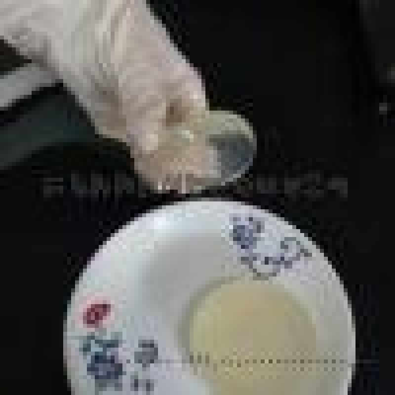 廠家直銷(xiāo)天然  腸小肉棗Q趣腸復(fù)配增稠劑Q膠