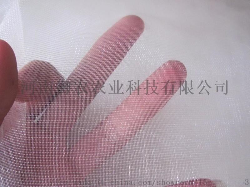 河南防蟲(chóng)網(wǎng)40目生產(chǎn)廠家