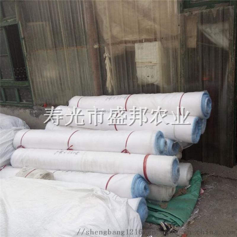 供應(yīng)蔬菜大棚  60目防蟲(chóng)網(wǎng) 葡萄棚櫻桃棚防鳥(niǎo)網(wǎng)