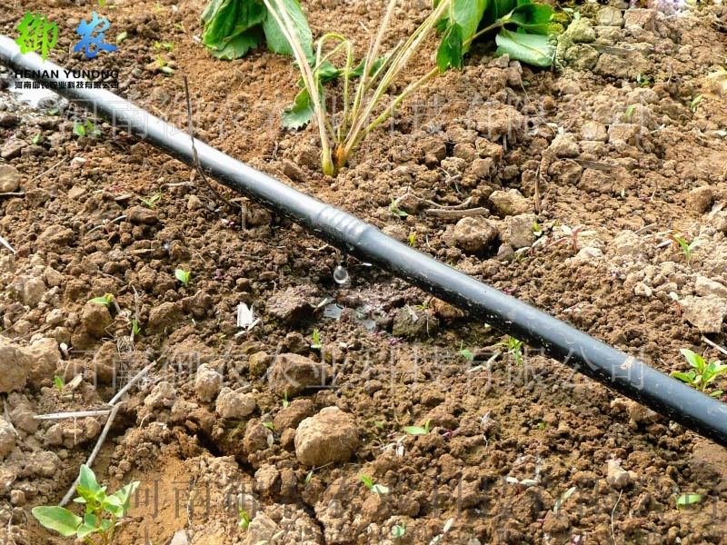 上海華維節(jié)水灌溉中原總代理滴灌、微噴、水肥一體化