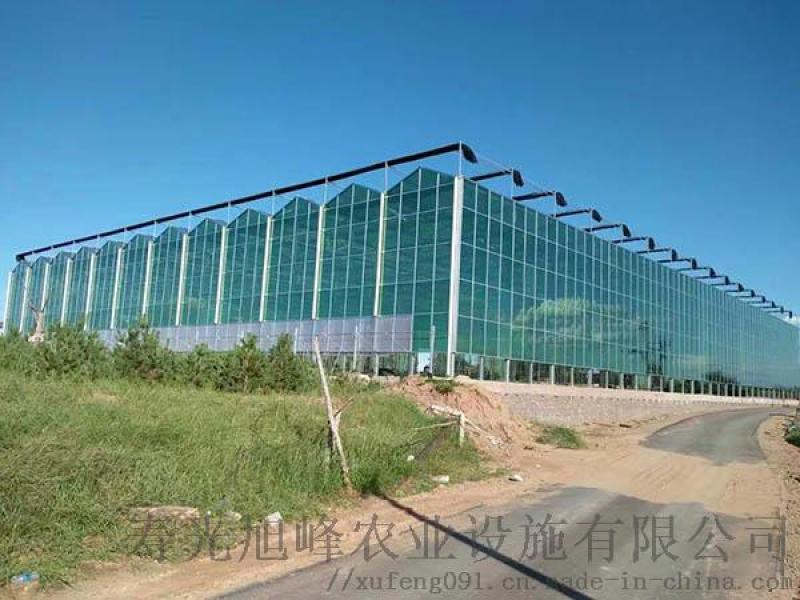 玻璃溫室，智能玻璃連棟溫室，玻璃智能溫室-壽光旭峰
