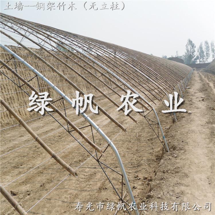 供應(yīng)壽光綠帆農(nóng)業(yè) 鋼架竹木PVC日光溫室 蔬菜大棚