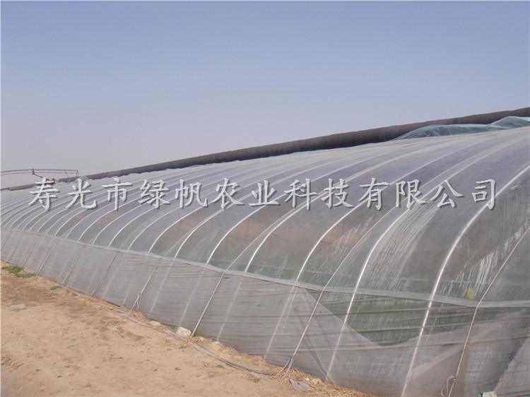 供應(yīng)花梁架冬暖式日光溫室 土墻體大棚 壽光蔬菜大棚