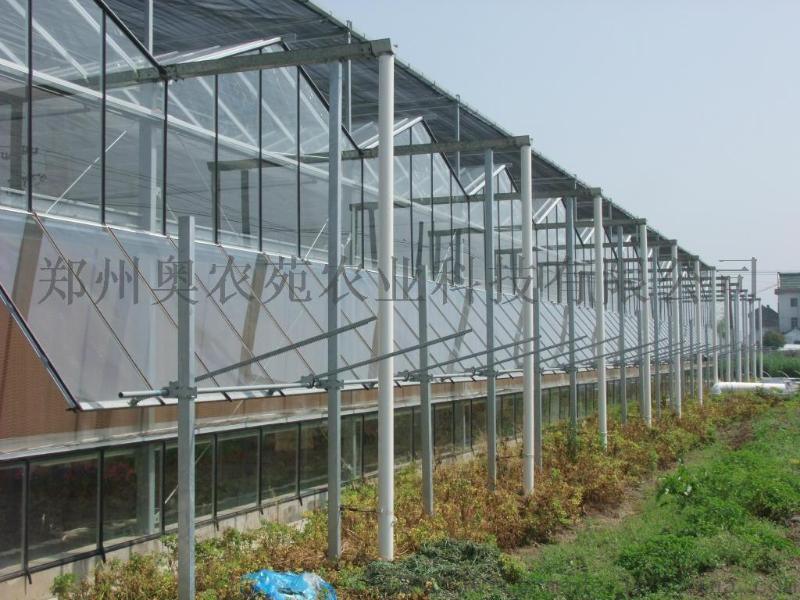 生態(tài)餐廳溫室大棚設計建造