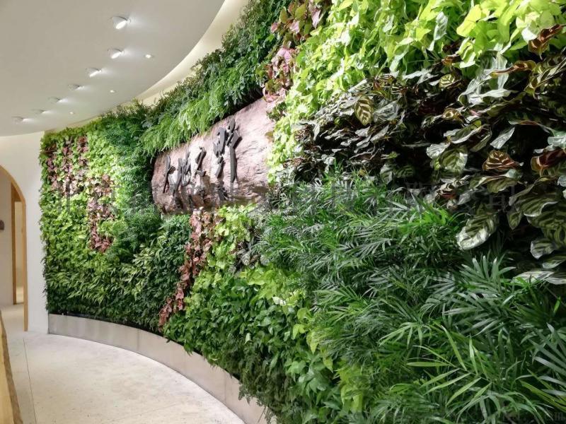 禧雅世家無土滴灌綠植墻，垂直綠化,無土栽培墻體綠化
