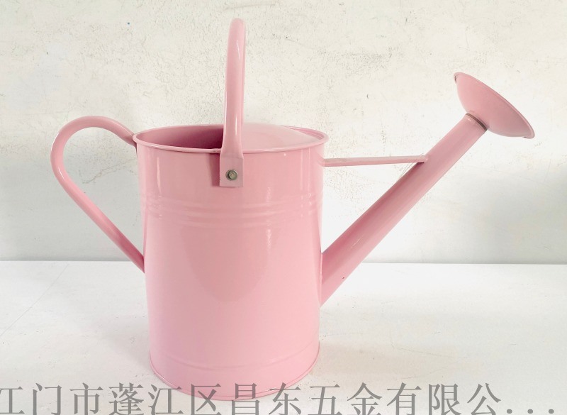 6L灑壺，鐵皮壺，花園灑壺