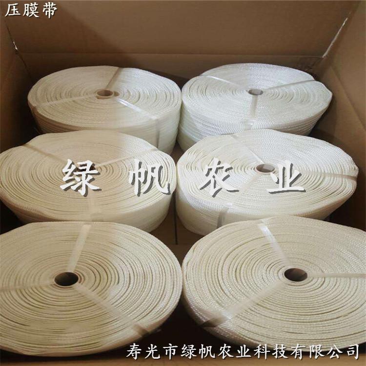 白色壓膜帶 工業(yè)滌綸絲壓膜繩