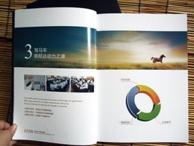 邯鄲宣傳冊(cè)設(shè)計(jì)
